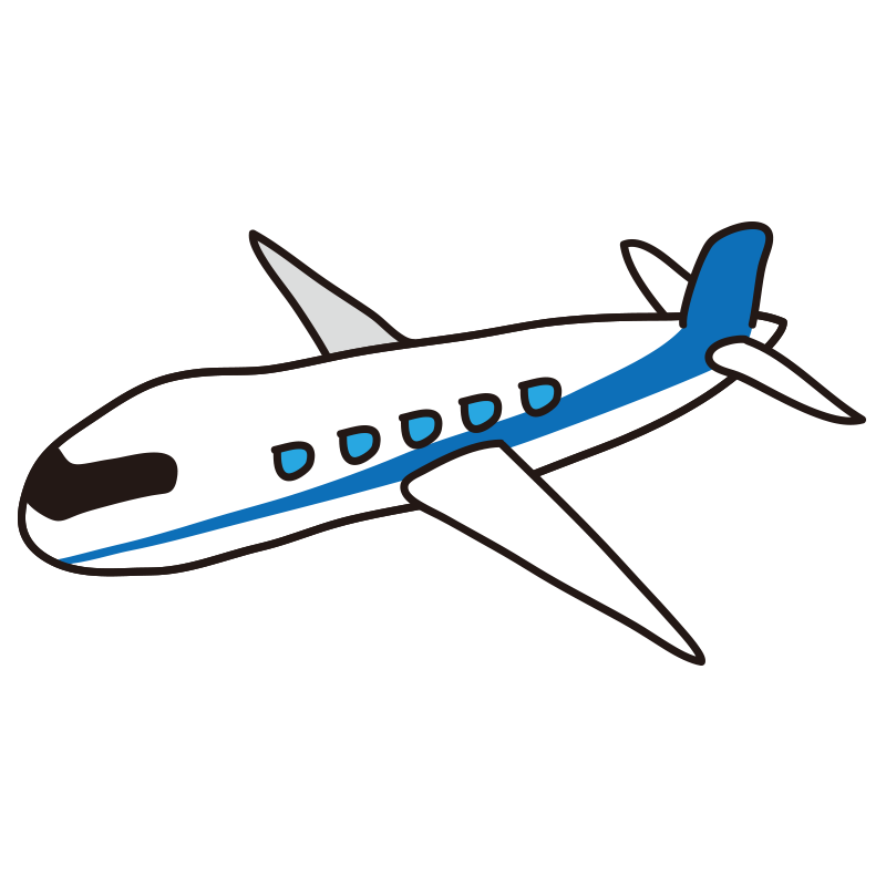 旧主治医によって閉ざされた５年間　～うり坊飛行機に乗れない問題～